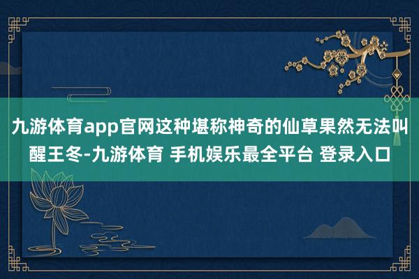 九游体育app官网这种堪称神奇的仙草果然无法叫醒王冬-九游体育 手机娱乐最全平台 登录入口