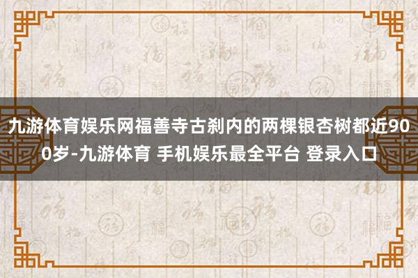 九游体育娱乐网福善寺古刹内的两棵银杏树都近900岁-九游体育 手机娱乐最全平台 登录入口