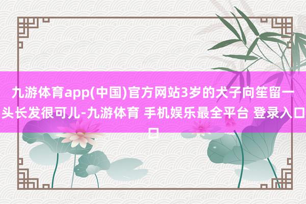 九游体育app(中国)官方网站3岁的犬子向笙留一头长发很可儿-九游体育 手机娱乐最全平台 登录入口
